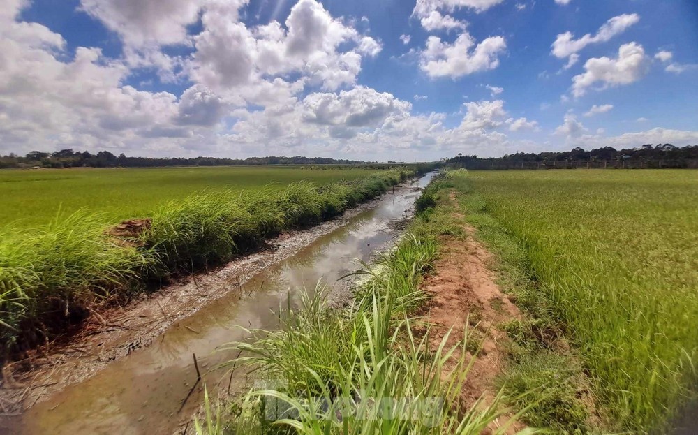 Thu tuong yeu cau lo du nuoc ngot cho nguoi dan mien Tay hinh anh