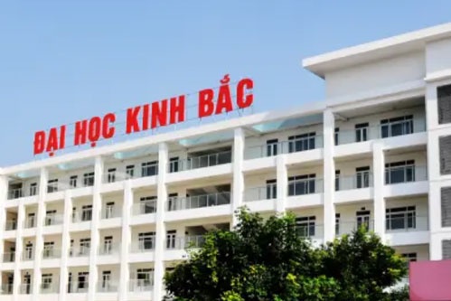 Pho hieu truong Dai hoc Kinh Bac bi xu phat vi lang ma nguoi khac hinh anh