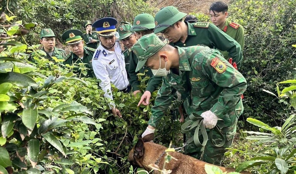 ma tuy xam nhap anh 2