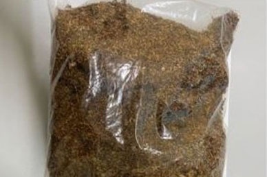 Nam thanh nien den co quan cong an trinh bao sau khi su dung 'co My' hinh anh