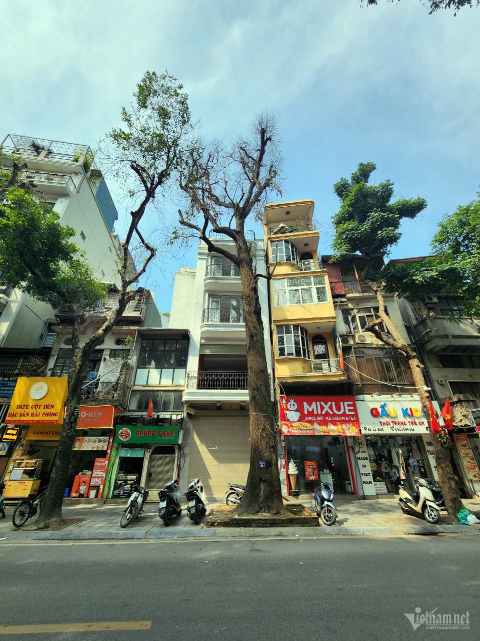 Cay sao den Lo Duc anh 1