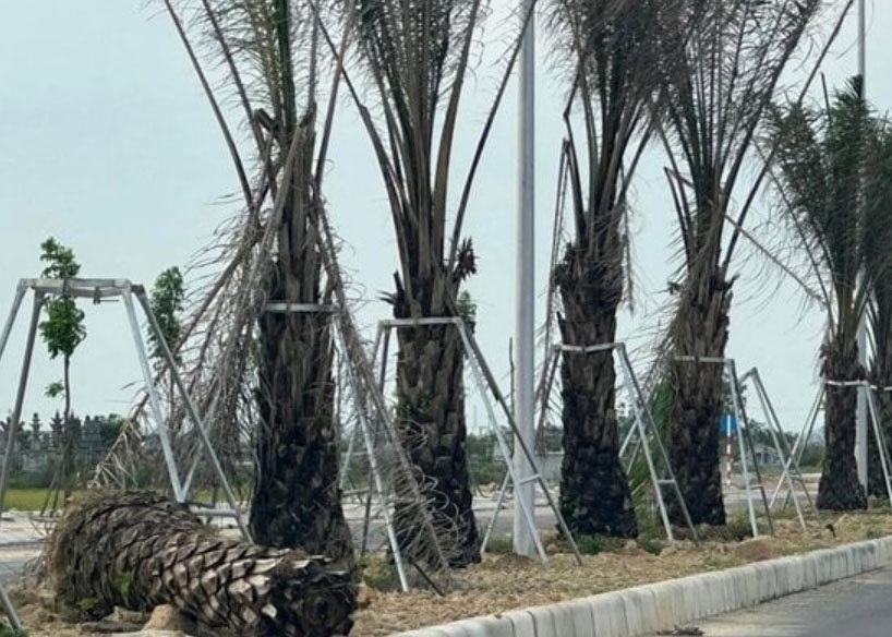 Bo Cong an yeu cau Thua Thien - Hue cung cap tai lieu du an trong cay hinh anh