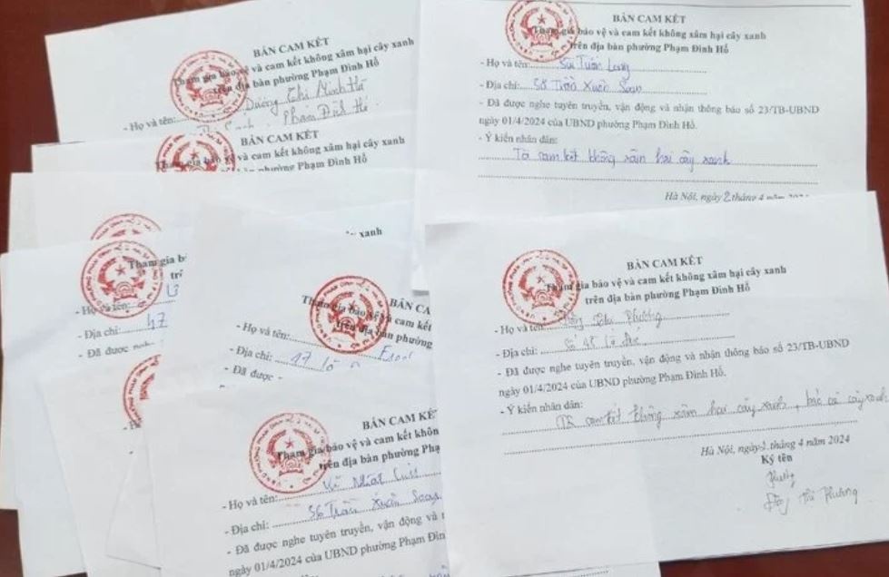 Sao den Lo Duc anh 2