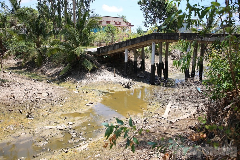 Khan cap Tien Giang anh 1