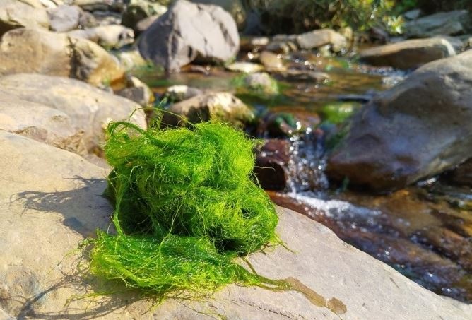 Hai hoc sinh Thanh Hoa tu vong khi di lay reu o suoi hinh anh