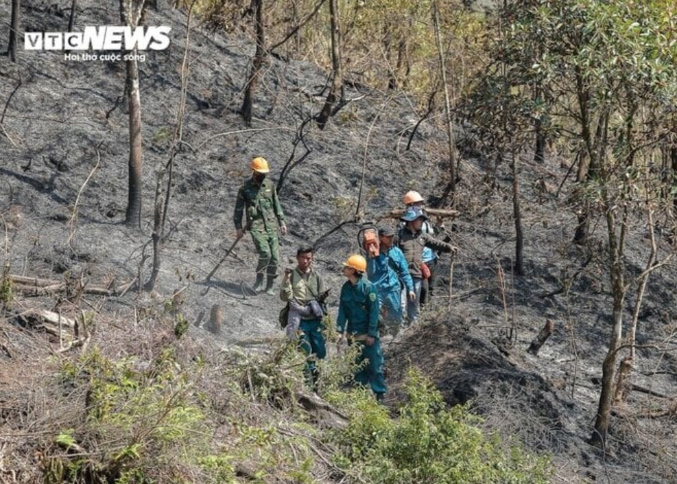 Nguy co chay rung anh 1