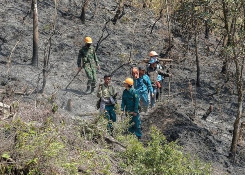 Nguy co chay rung cao, Thu tuong chi dao cap bach ung pho hinh anh