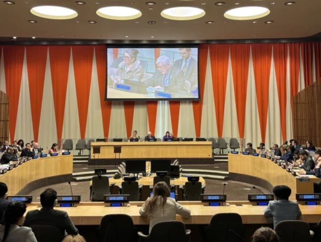 Viet Nam trung cu vao co quan binh dang gioi cua Lien Hop Quoc hinh anh