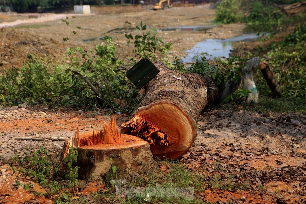 Huong Khe Ha Tinh anh 1