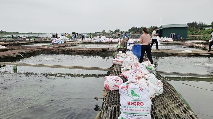 Ca Hai Duong 1.000 tan anh 1