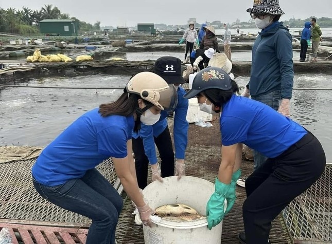 Ca Hai Duong 1.000 tan anh 2