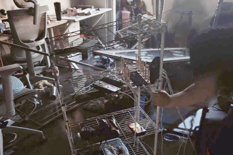 Chay tiem banh kem TP.HCM anh 3