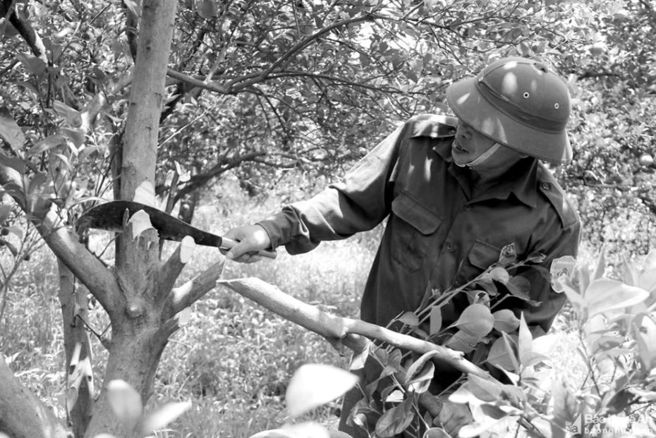 Tiec nuoi dac san cam Vinh hinh anh