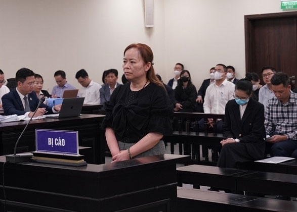 Cuu chu tich Vimedimex dim gia va thau tom hon 16.000 m2 dat hinh anh