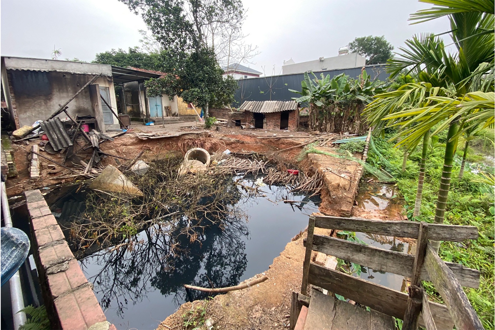 Di doi nhieu ho dan canh mieng 'ho tu than' o Quang Ninh hinh anh