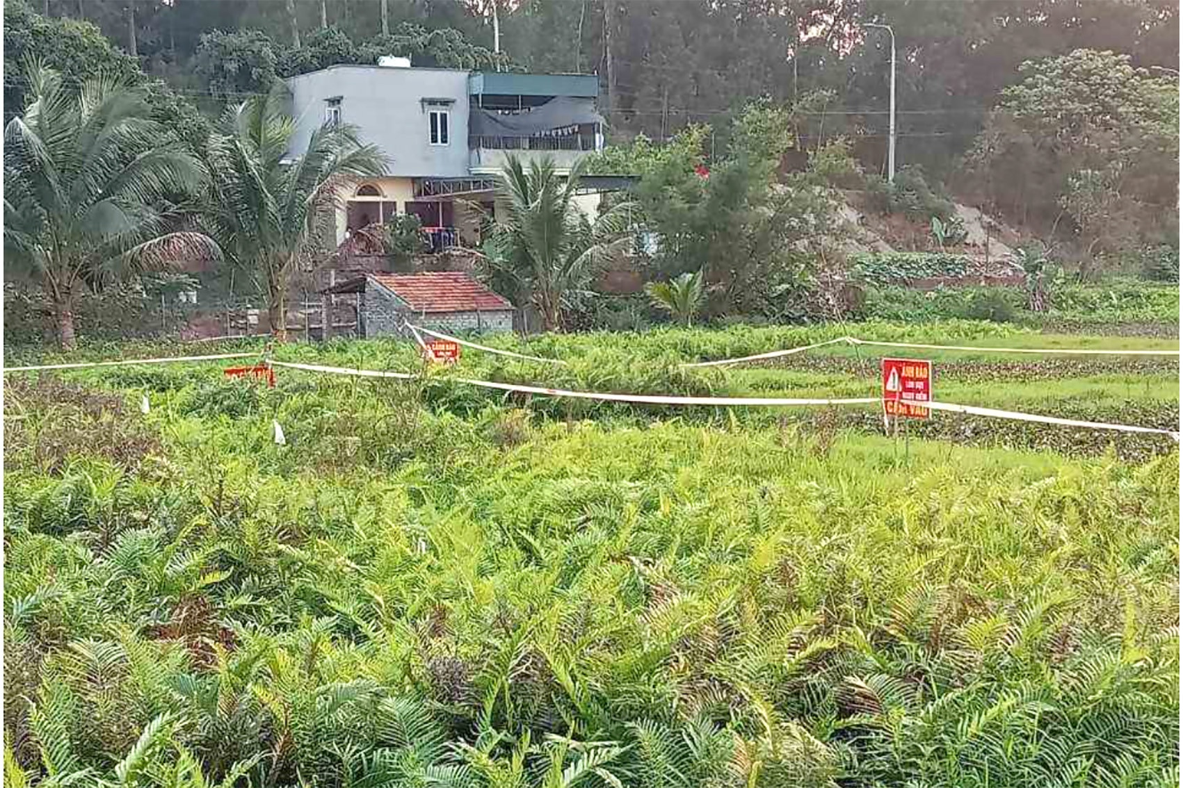 Ho tu than,  Quang Ninh anh 2