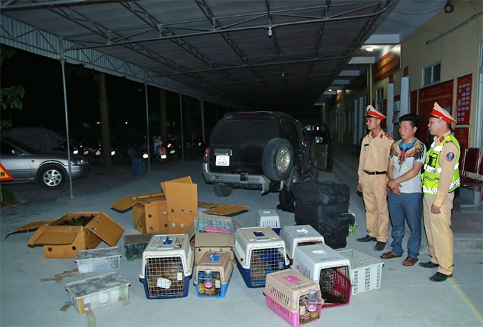 Dong vat hoang da anh 2