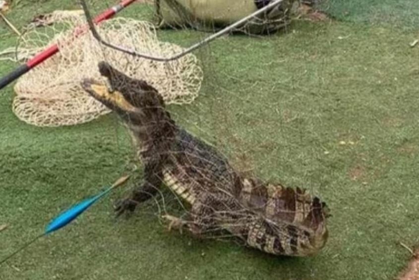 Cong an ra soat khu vuc ca sau xuat hien o ho cau Ha Noi hinh anh