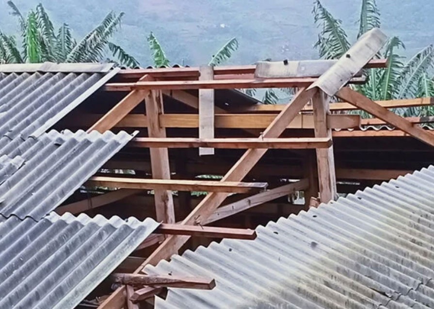 Dong loc lam toc mai hang nghin can nha, hoa mau hu hai hinh anh