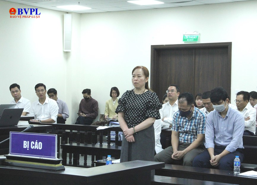 Vimedimex,  Cong ty Vimedimex,  Chu tich Vimedimex,  Nguyen Thi Loan,  Cong ty Handico anh 2