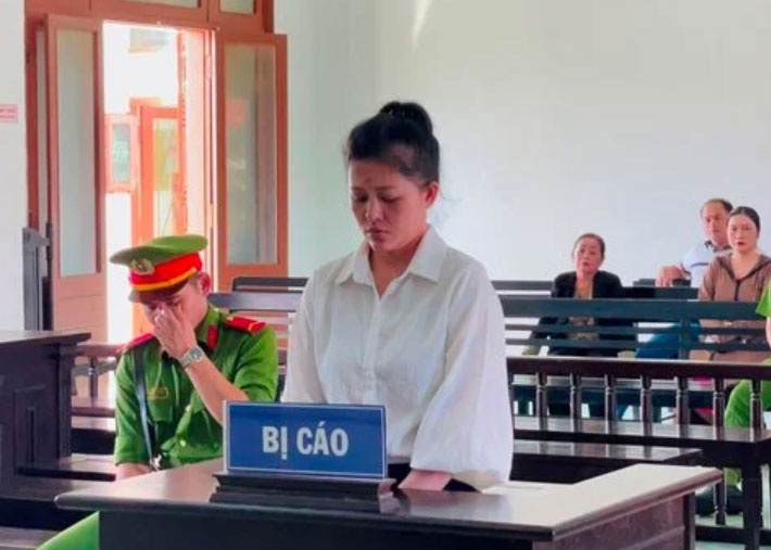 Lua huy dong von dao han ngan hang, nu quai chiem doat gan 20 ty dong hinh anh