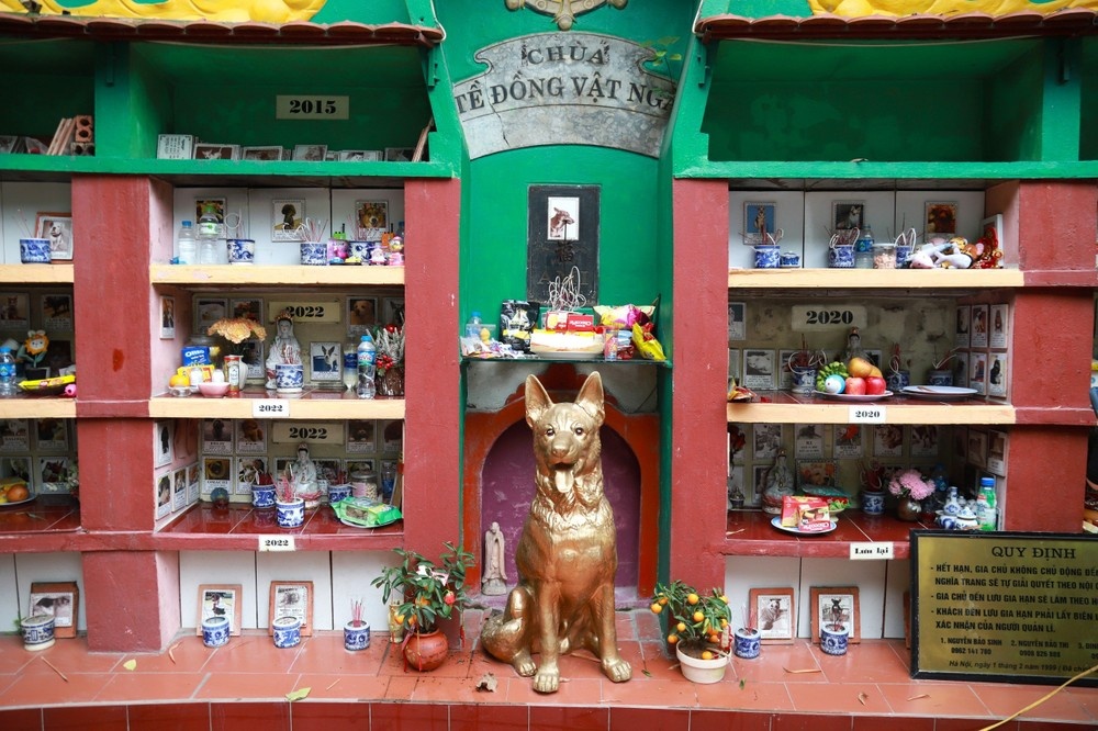 Tề Đồng Vật Ngã ảnh 10 Te Dong Vat Nga anh 10