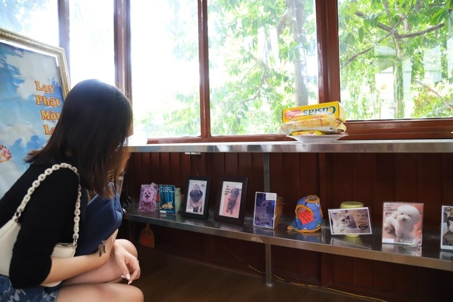 Te Dong Vat Nga anh 11