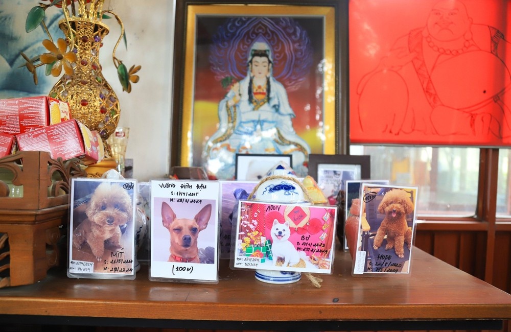 Nghe mai tang thu cung o Ha Noi hinh anh