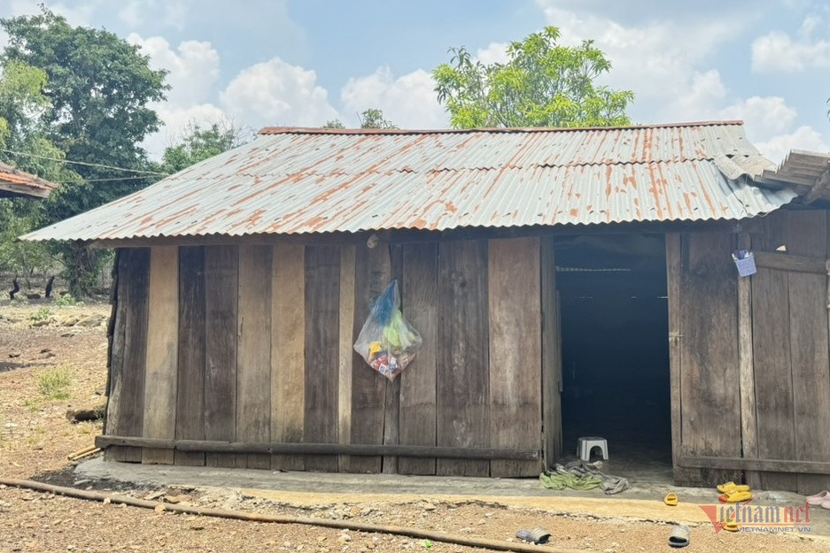 Lua ban sang Thai Lan anh 3