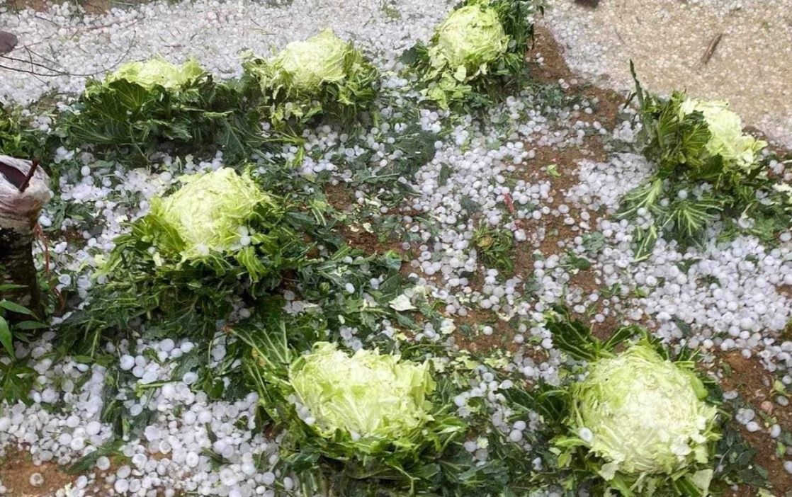 Mua da xoi xa, phu trang mat dat tai Hoa Binh va Son La hinh anh