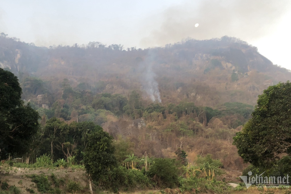 Chay rung An Giang anh 1