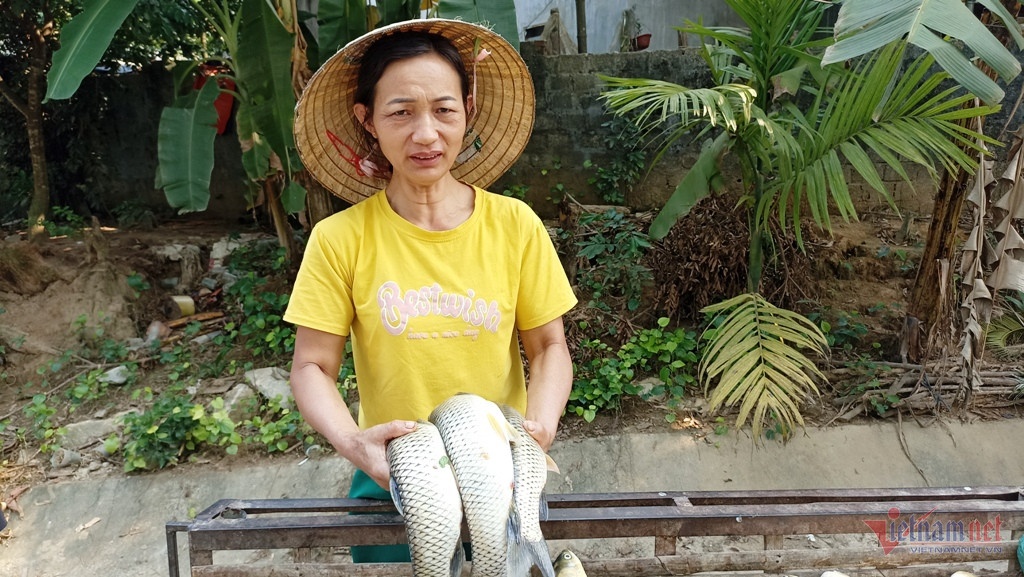 Ca long chet Thanh Hoa anh 2