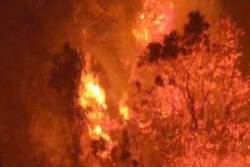 Hon 700 nguoi chua chay rung tren dinh Tay Con Linh hinh anh