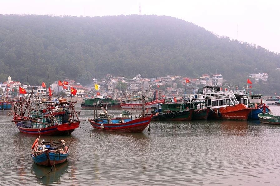 Phap Luat TP.HCM anh 6