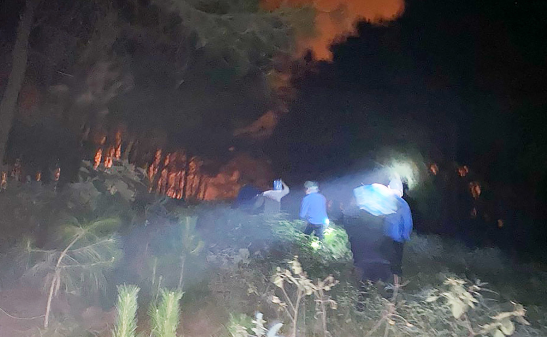 Chay rung o Nghe An, trong dem hang tram nguoi tham gia dap lua hinh anh