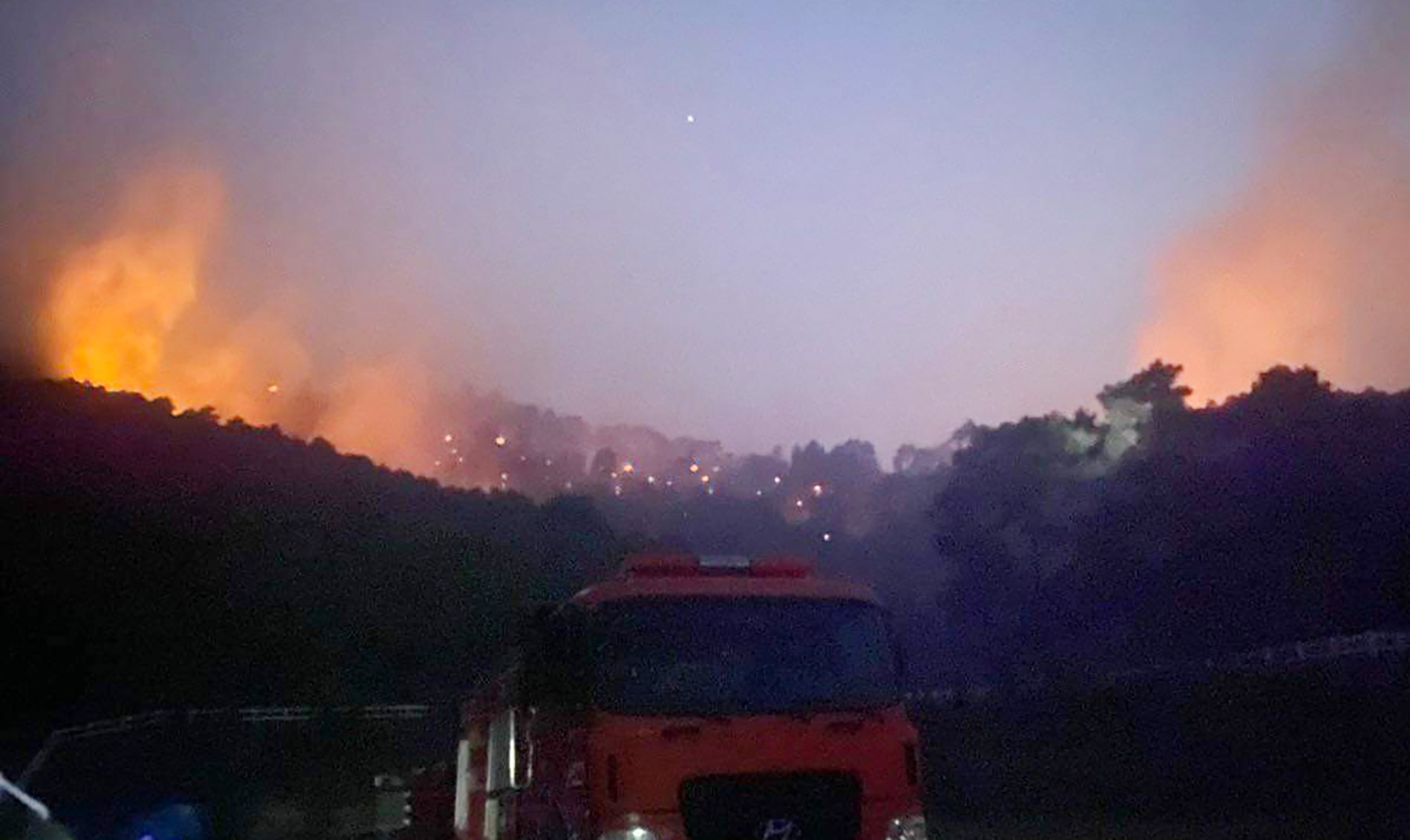 Chay rung,  Nghe An anh 2