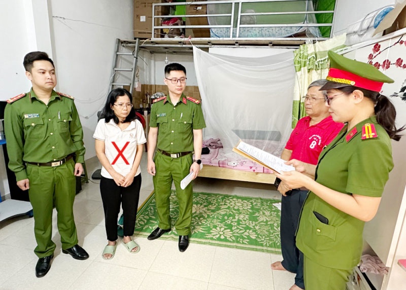 Thua bac tren mang, lap khong don hang chiem doat 644 trieu dong hinh anh