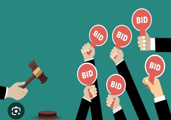 Nu giam doc loi dung hoat dong dau gia chiem doat gan 100 ty dong hinh anh