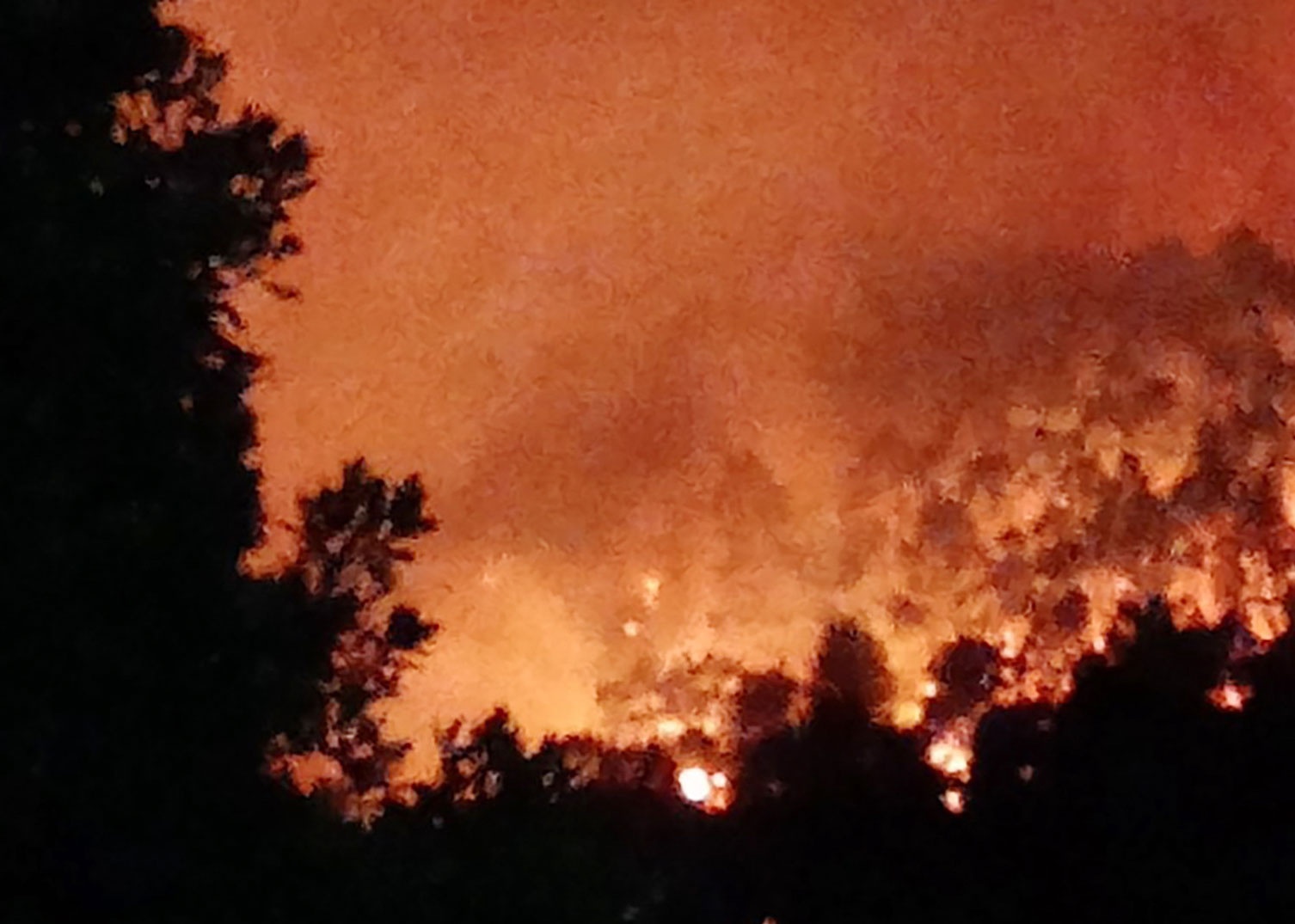 Xac dinh duoc 3 nguoi dot thuc bi gay chay rung o Nghe An hinh anh