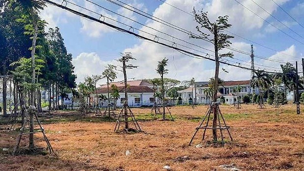 Bo Cong an de nghi Ca Mau, Bac Lieu ra soat cac du an cay xanh hinh anh