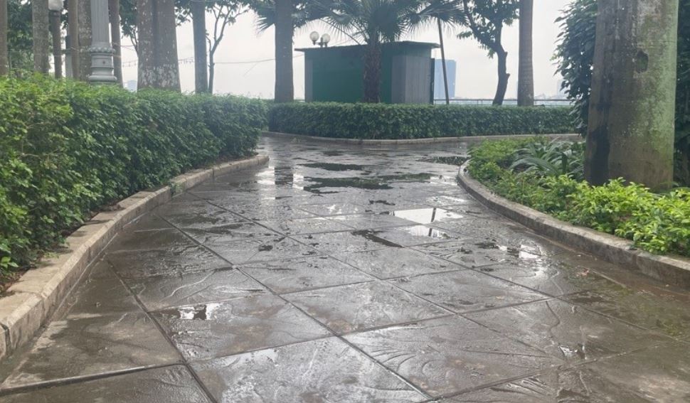 Xac minh nguyen nhan vuon hoa tai ho Tay bi do dau thai hinh anh