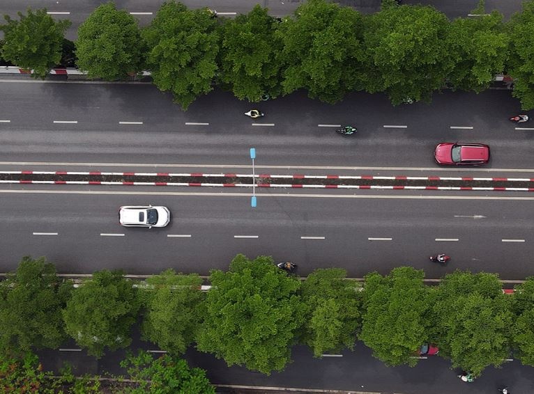 3 phuong an de du an duong Lang bao ton duoc hang cay xanh hinh anh