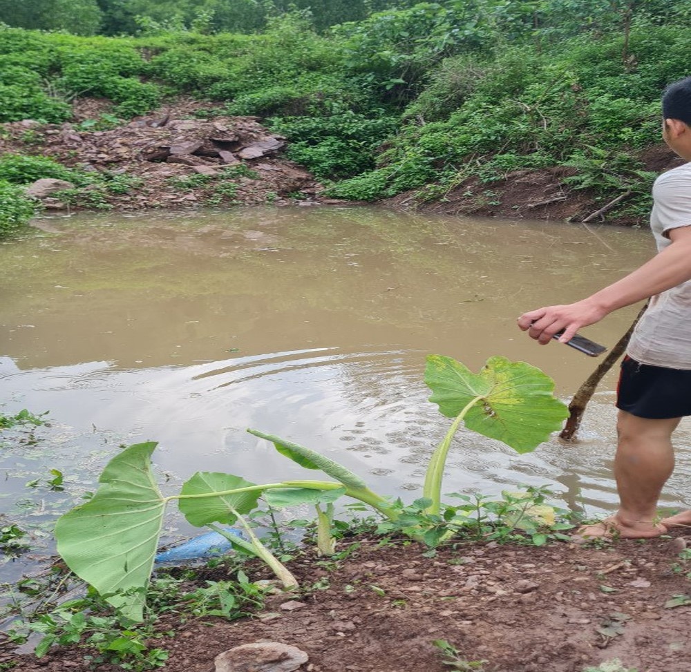 3 ong chau duoi nuoc anh 1
