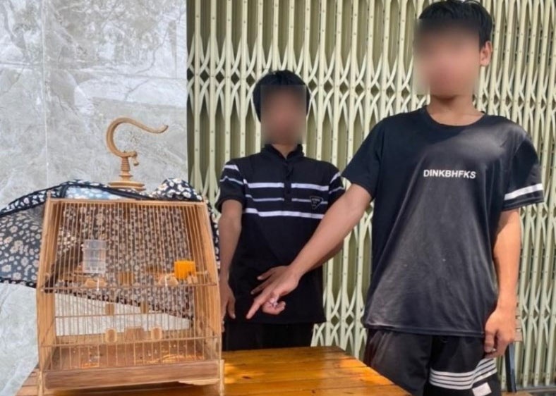 Bat giu 2 thanh nien trom long va chim chao mao tri gia gan 120 trieu hinh anh