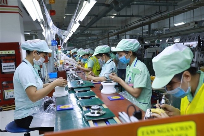 Lừa người xuất khẩu ảnh 1 Lua nguoi xuat khau anh 1