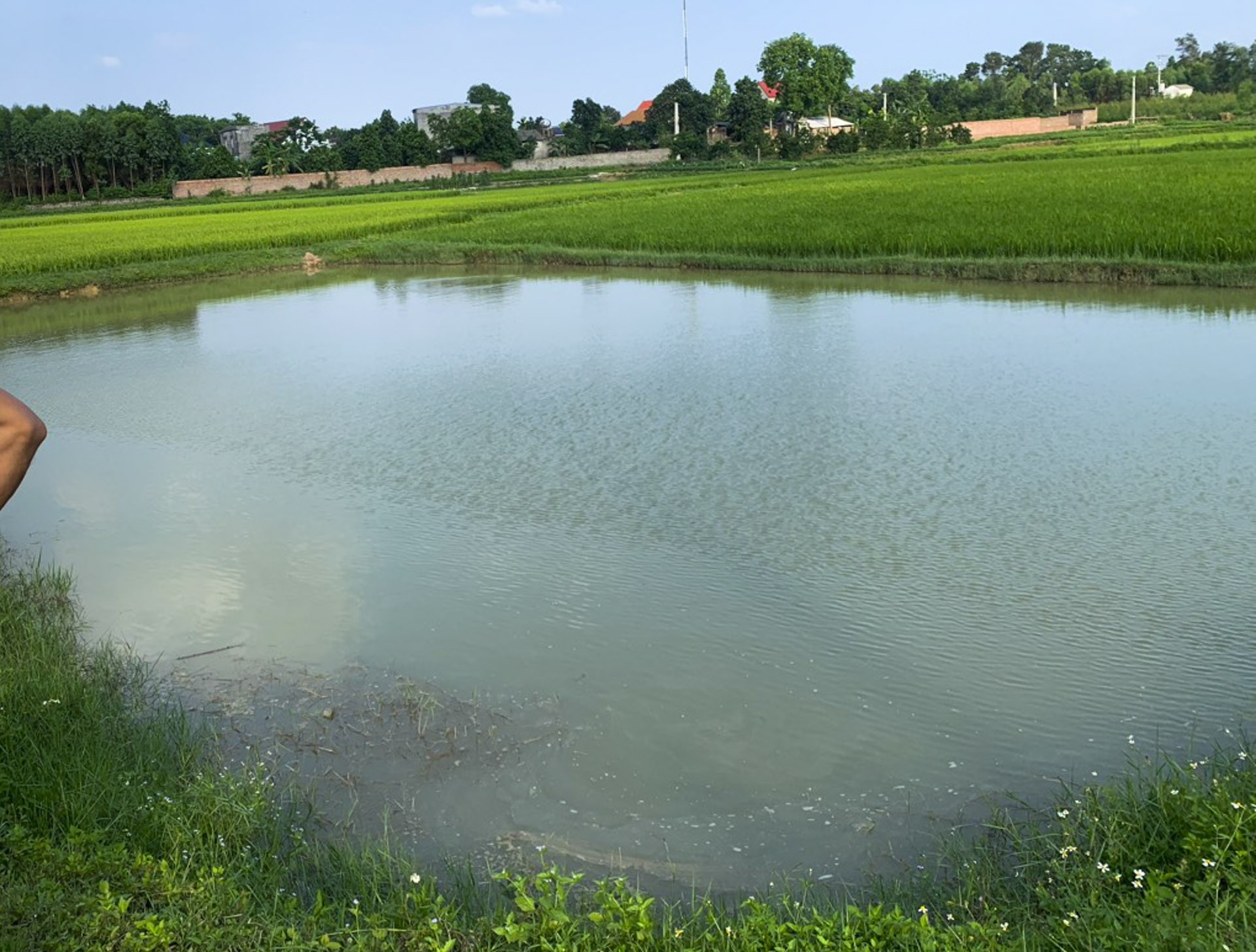 Hai hoc sinh lop 8 chet duoi duoi ao nuoc o Bac Giang hinh anh