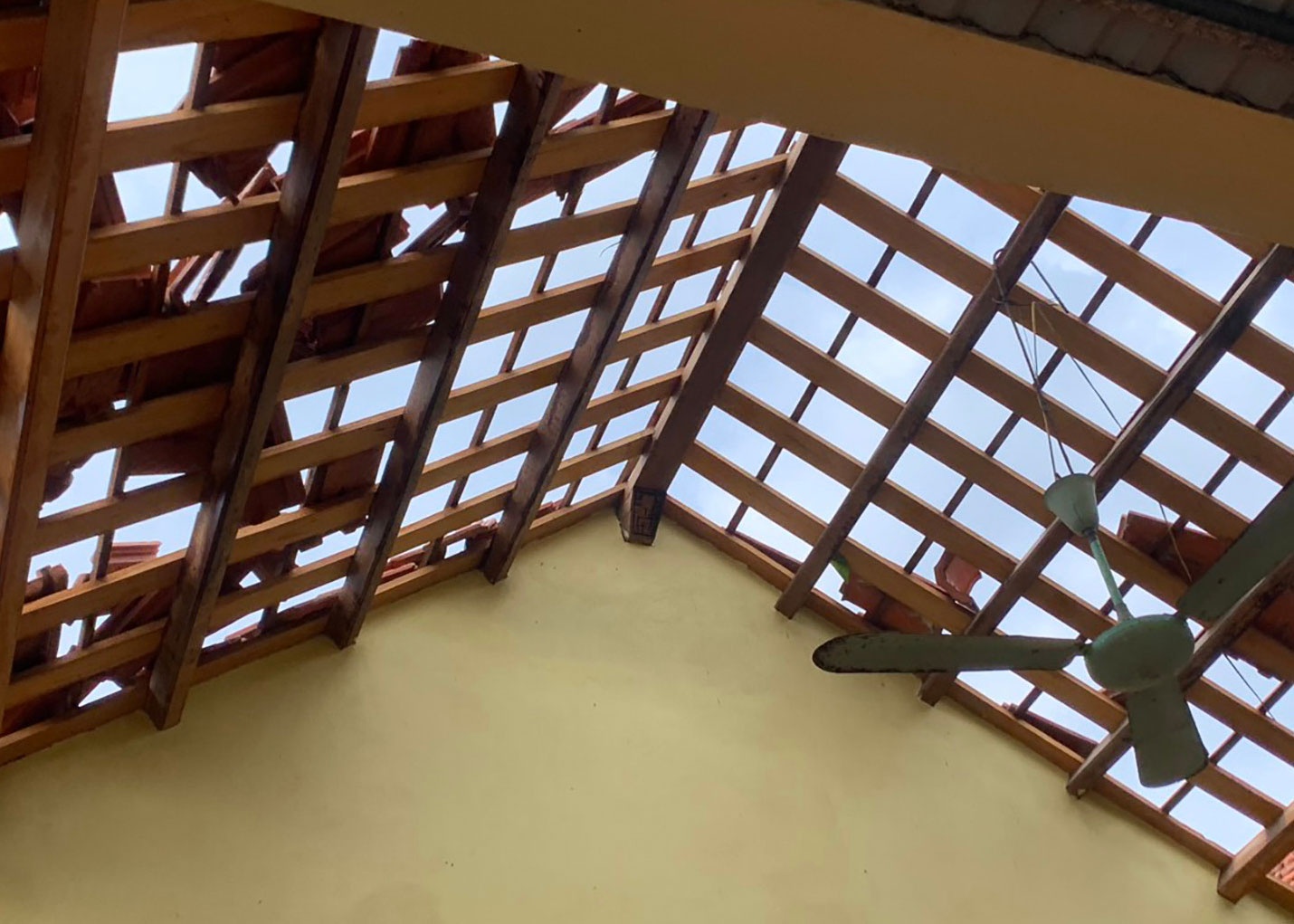 Voi rong xuat hien 3 phut, hang loat ngoi nha o Quang Ninh bi toc mai hinh anh