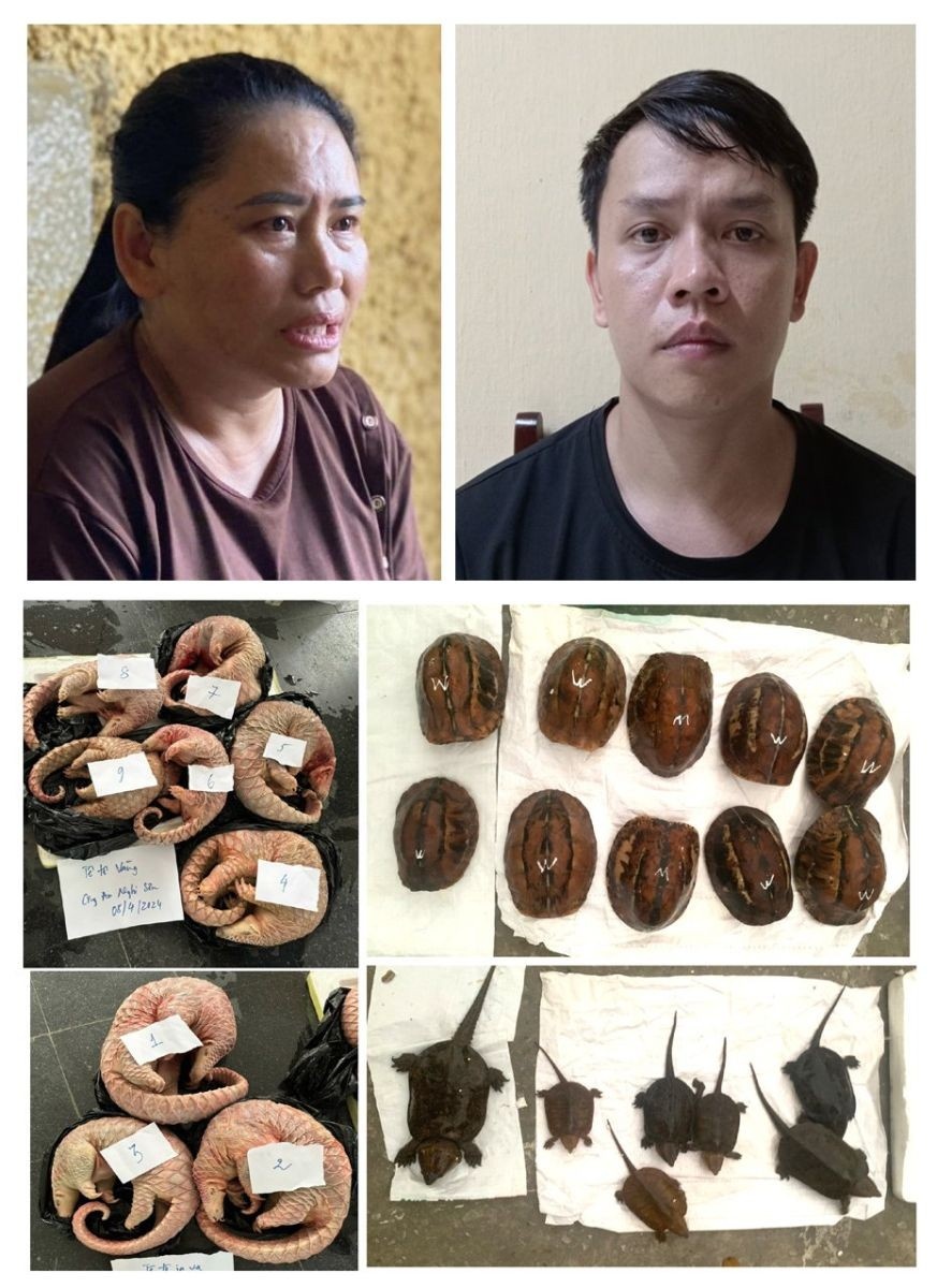 Nghi Son Thanh Hoa anh 1