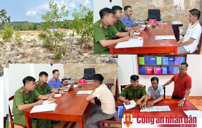 Cua Duong,  Nhan hoi lo,  Cong ty LHD anh 2