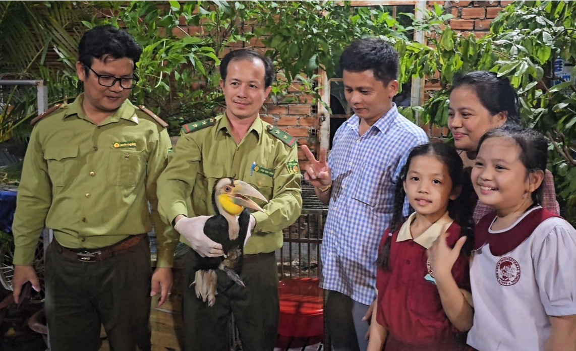 Chim niec mo van TP.HCM anh 1